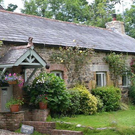 Trewassick Barn Bed and Breakfast New Quay Eksteriør billede